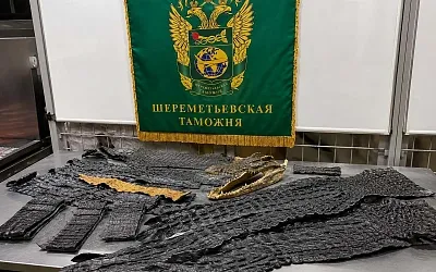 64 части крокодила нашли в багаже в Шереметьево