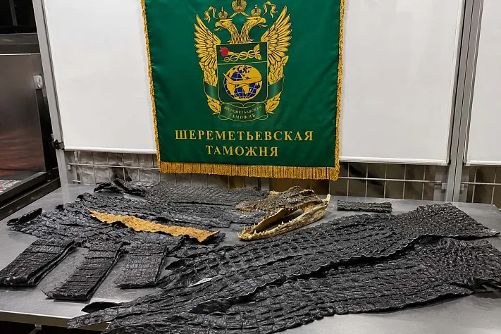 64 части крокодила нашли в багаже в Шереметьево