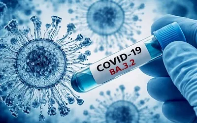 Штамм «Цикада» и новый COVID стоит ли тревожиться