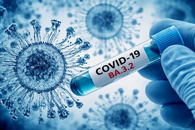 штамм «цикада» и новый covid стоит ли тревожиться