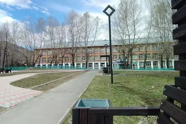 В Хакасии из-за медведей начали переводить школы на дистант