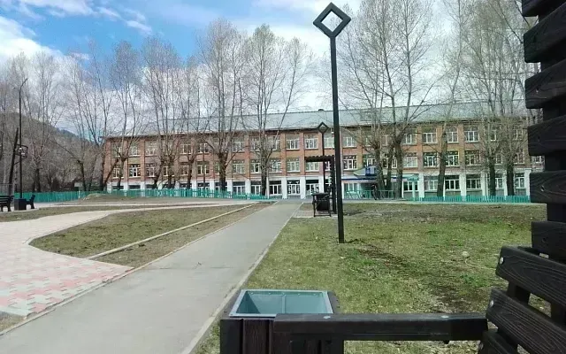 В Хакасии из-за медведей начали переводить школы на дистант