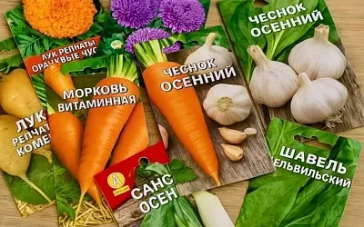 Поштучно или расфасованные какие семена покупать выгоднее