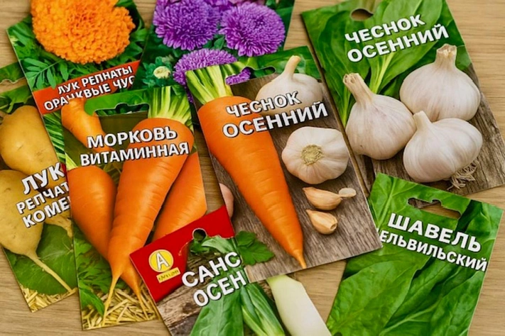 Поштучно или расфасованные какие семена покупать выгоднее