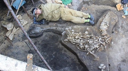 В Коми нашли кости морского динозавра
