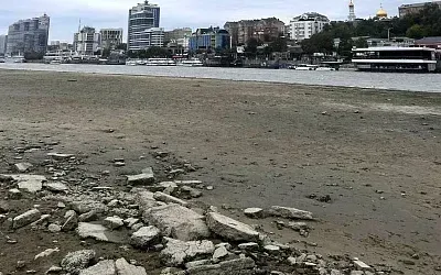 Мощный ветер вызвал резкий спад уровня воды в Дону