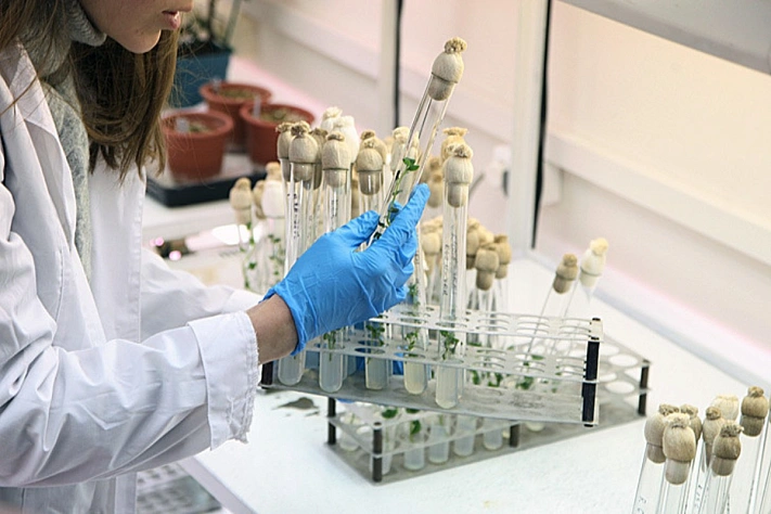 Найденный в Чёрном море микроорганизм может стать основой для вакцин