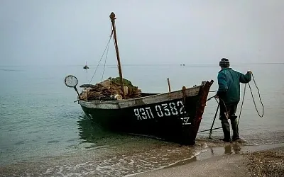 Азовское море вскоре наполнится креветками и нетипичной рыбой