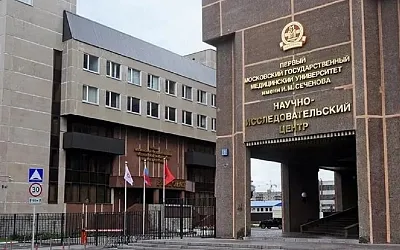 В Сеченовском университете разработали клеточные модули для восстановления тканей пародонта