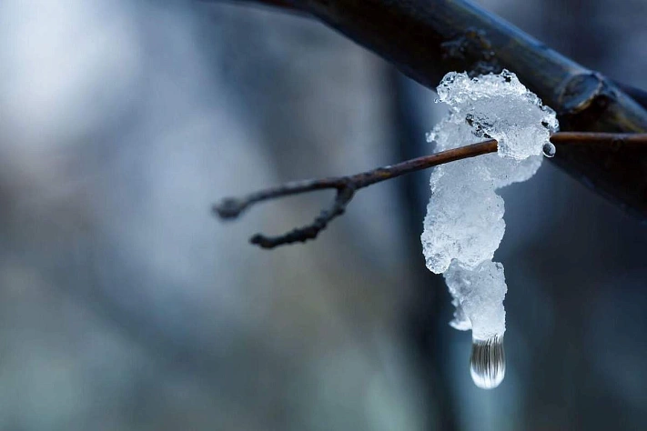 Оттепель в Москве продлится до конца рабочей недели