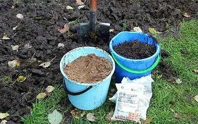 Какие удобрения заложить в грядки до зимы для рекордного урожая