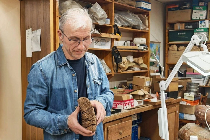 Минеральный голод убил мамонтов 