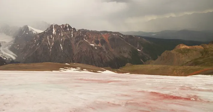 Водопадный ледник на Алтае стал розовым