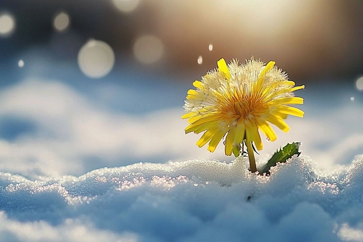 Почему при быстрых перепадах температуры организм хуже адаптируется