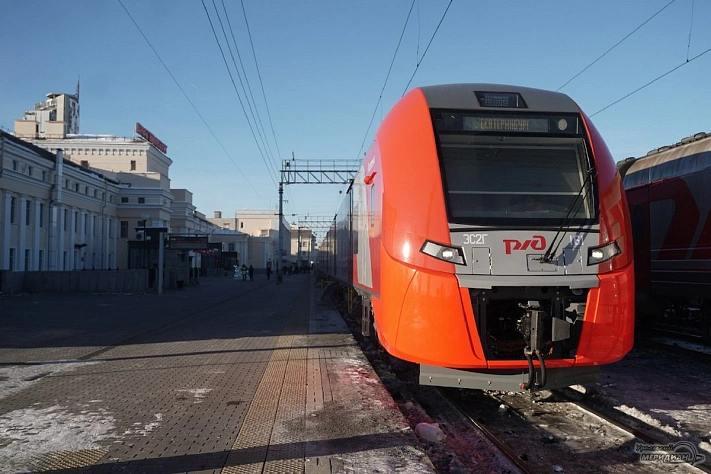 Проводницу, высадившую из поезда кота Твикса, временно отстранили