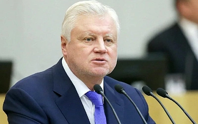 В Госдуме раскритиковали планы МВД