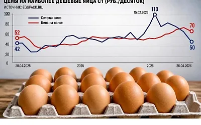Птицеводы просят ценовую вилку для яиц