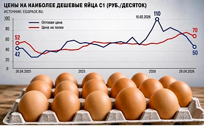 Птицеводы просят ценовую вилку для яиц