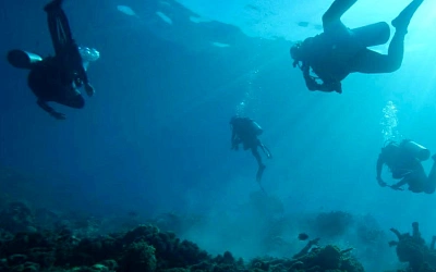 Учёные создали нетоксичный пластик, растворяющийся в морской воде за считанные часы