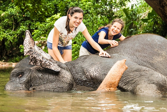В Намибии женщина погибла при попытке сфотографироваться со слоном