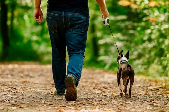 Ходьба и Альцгеймер что показало 14 лет наблюдений