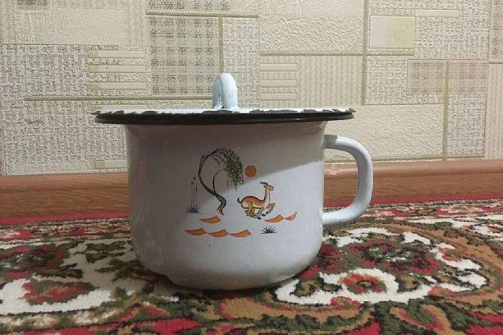 Чем опасна кишечная палочка для путешественников