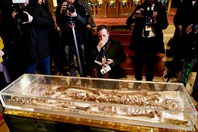 скелет святого франциска ассизского показали публике впервые за десятилетия