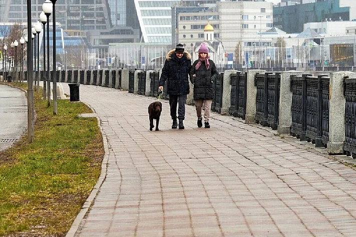 В Москве и Подмосковье отменили начало зимы