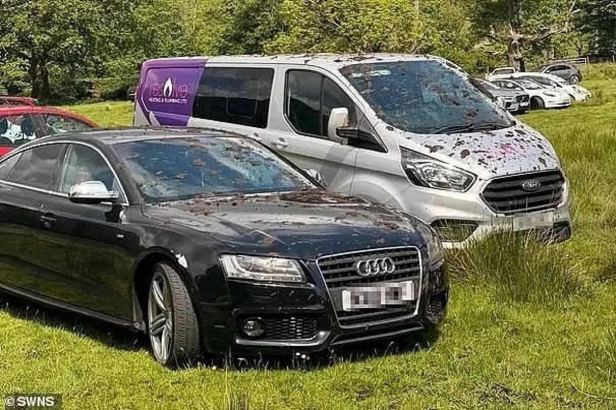 Английский фермер вылил цистерну навоза на дорогие авто туристов