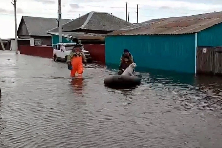 Более 140 домов остаются подтопленными в Алтайском крае