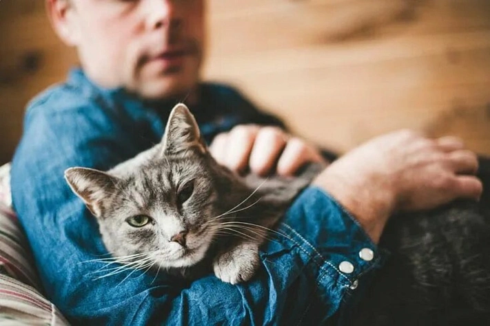 Почему люди становятся кошатниками
