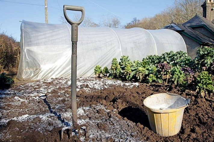 Чем раскислить почву весной, а что лучше отложить до осени