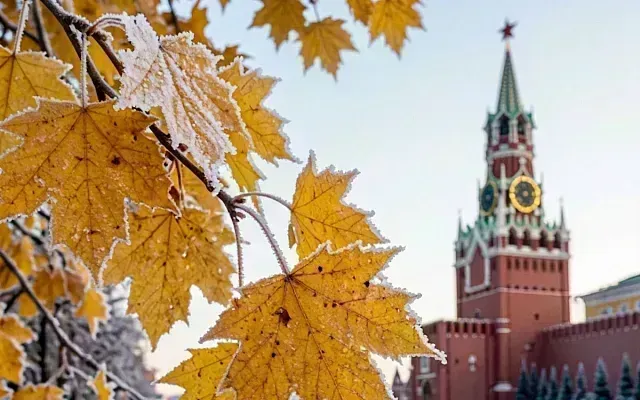 Первые заморозки придут в Московский регион в ночь на 4 октября