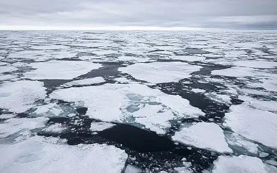 Арктика вернулась к рекордно низкому зимнему льду