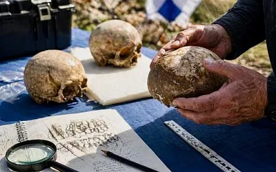 Почему детство неандертальцев было короче, чем у нас