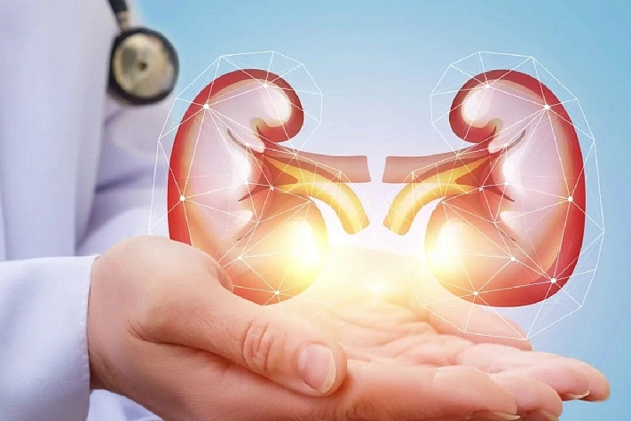 Кто главные враги почек?