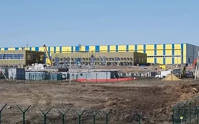 Под Тулой открылся завод по переработке конопли