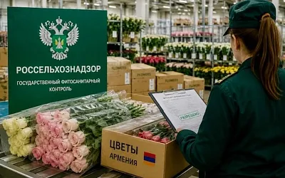 Россельхознадзор ограничивает ввоз цветов из Армении