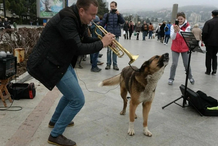 В Ялте скончался местный «Хатико»