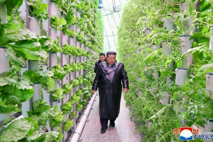 В КНДР появился собственный ром