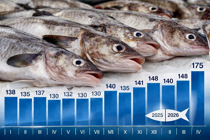 Минтай на Дальнем Востоке резко подорожал вопреки сезону