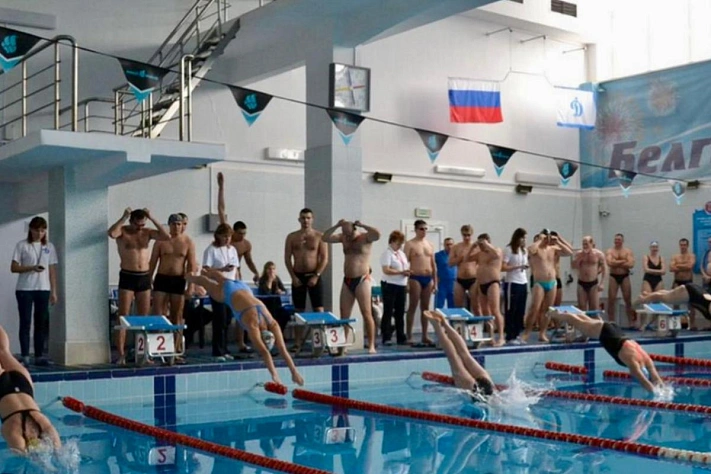 Новогодний турнир по плаванию в Белгороде: праздник спорта и поддержки