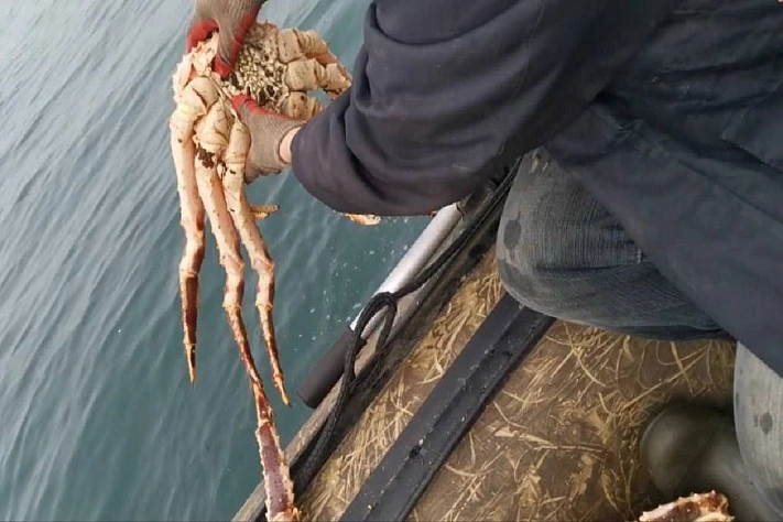 Житель Сахалина лишился машины и лодки за незаконный вылов 16 крабов