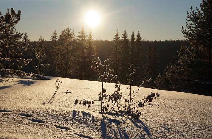 Синоптики рассказали, когда в Московский регион вернётся солнечная погода