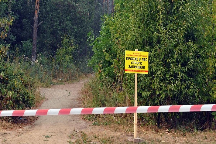 Жителям Подмосковья запретили ходить на природу
