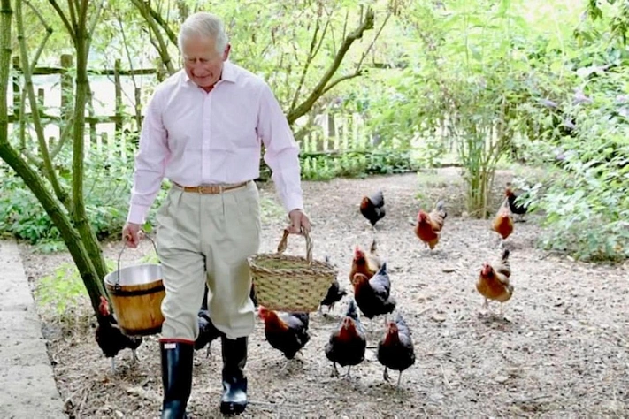 Карл III показал курочек, а Уэльские вернули семейную сказку